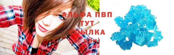 индика Корсаков