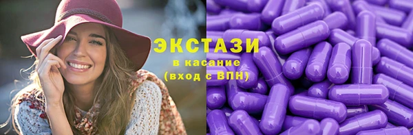 индика Корсаков