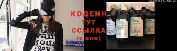индика Корсаков