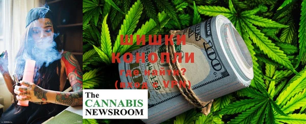 индика Корсаков