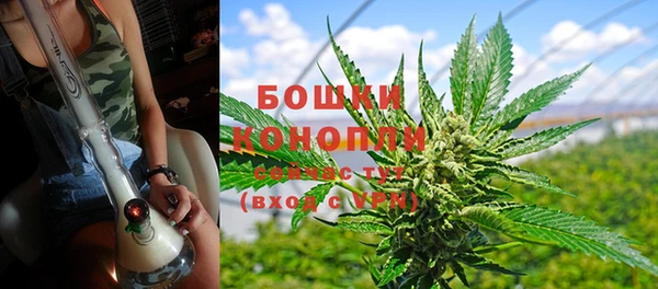 индика Корсаков