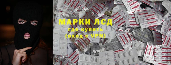 индика Корсаков