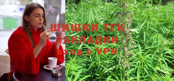 индика Корсаков