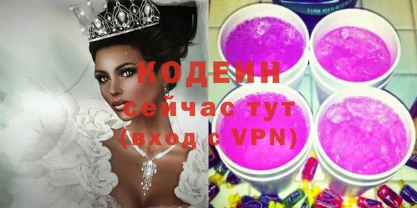 индика Корсаков