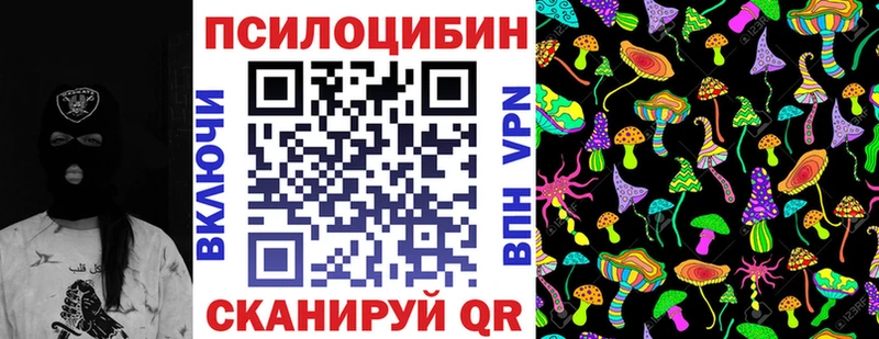 Купить закладки  Урус-Мартан  Галлюциногенные грибы Psilocybine cubensis 
